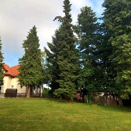 Вилла Kuca Za Odmor Златибор Экстерьер фото