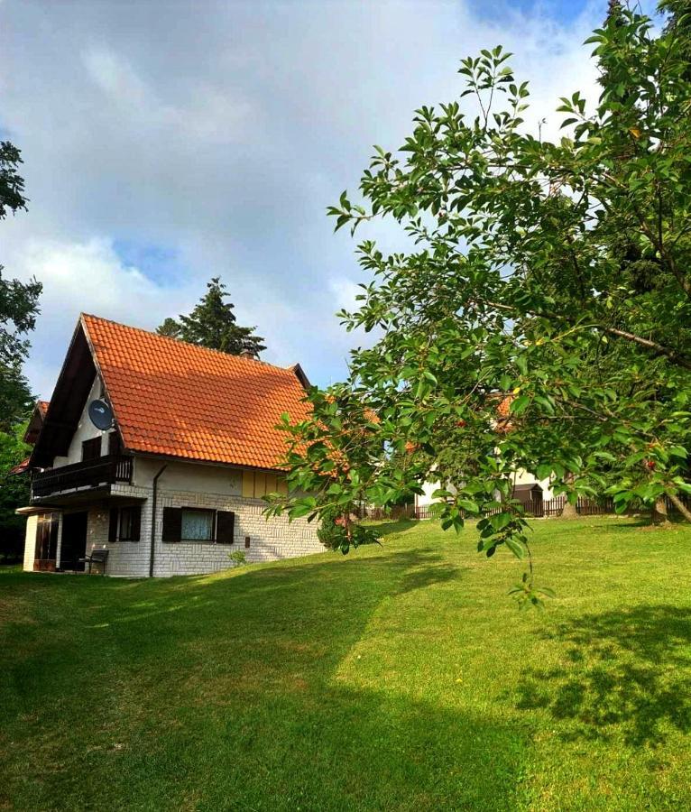 Вилла Kuca Za Odmor Златибор Экстерьер фото